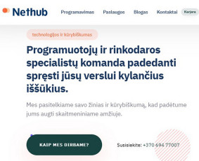 Svetainių kūrimas - Interneto svetainės, parduotuvės ir verslo valdymo sistemos. - 2