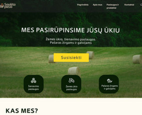 Svetainių dizainas (web design) - Grafikos dizainerė - 2