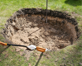 Sklypo želdinių projektavimas, įrengimas ir priežiūra - Augalų ir medelių sodinimas - 2 Augalų ir medelių sodinimas - Sklypo želdinių projektavimas, įrengimas ir priežiūra - 2