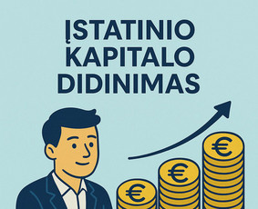 Profesionali buhalterinė apskaita ir finansų tvarkymas - Buhalterinės apskaitos paslaugos - 3 Buhalterinės apskaitos paslaugos - Profesionali buhalterinė apskaita ir finansų tvarkymas - 3