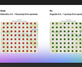 #1 Google Ads Reklama, Google Seo, Ai Seo ir Google Maps Seo / Vilius Jankeliūnas | MB Manvi Media / Darbų pavyzdys ID 3948022