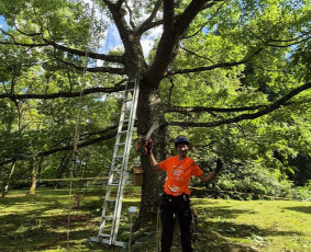 Arboristo paslaugos. Medžių pjovimas, kelmų naikinimas - Tradiciniai amatai - 3 Tradiciniai amatai - Arboristo paslaugos. Medžių pjovimas, kelmų naikinimas - 3