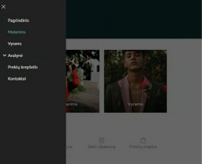El. parduotuvių kūrimas - Internetinio puslapio kainą sužinokite per kelias sekundes! - 3