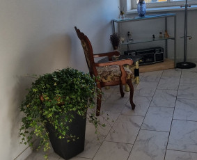 Turizmo paslaugos - Kelionių organizavimas - 3 Kelionių organizavimas - Turizmo paslaugos - 3