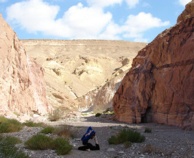 Joga, jogos treneriai - Joga ir/arba miško terapija Jūsų pasirinktoje vietoje - 3