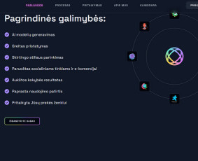 Modernios, greitos ir 100 % individualios svetainės / Loreta / Darbų pavyzdys ID 4112032