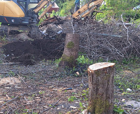 Konteinerių nuoma Griovimo darbai - Konteinerių nuoma - 2 Konteinerių nuoma - Konteinerių nuoma Griovimo darbai - 2