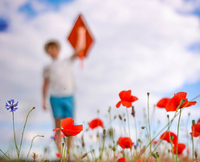 Fotografas / Andrey Jay / Darbų pavyzdys ID 3536519