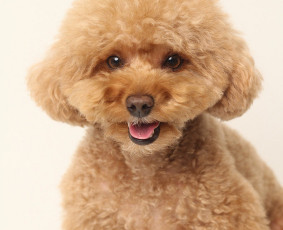 Krikštynų fotosesija - Fotografė Vilniuje – asmeninės,soc.tinklų,šeimos fotosesijos - 1