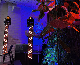 Geros nuotaikos jūsų šventei – Dj, šviesos, pramogos / Geros nuotaikos jūsų šventei – Dj / Darbų pavyzdys ID 4157770