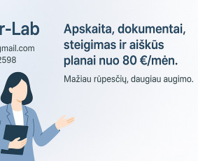 Individualios veiklos apskaitos tvarkymas - Įmonių stegimas ir buhalterinė apskaita iš vienų rankų - 1