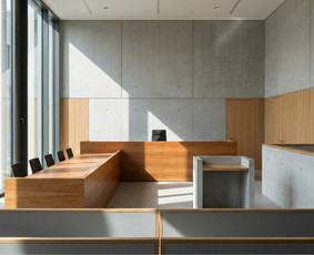 Baudžiamosios teisės paslaugos - Teisinės paslaugos - 1