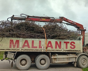Krovinių pervežimas - Ketura&scaron;io savivarčio su kranu ir greiferiniu kau&scaron;u paslaukos - 1