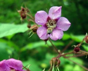 Psichologai, psichoterapeutai - Emocinės gerovės konsultacijos internetu - 1