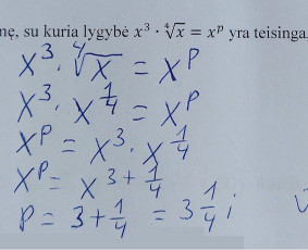 Mokymai, kursai, kalbos - Gyvai Matematikos ir Fizikos Korepetitorius Vbe ir Pupp - 4