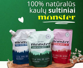 Naujienlai&scaron;kių kūrimas ir sklaida - Email Marketing / Naujienlai&scaron;kiai ir automatizacijos - 4