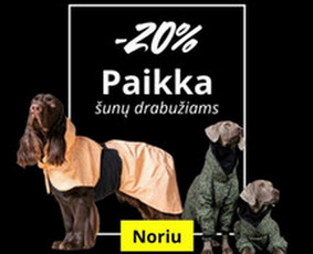 Internetas, IT - Email Marketing / Naujienlai&scaron;kiai ir automatizacijos - 2