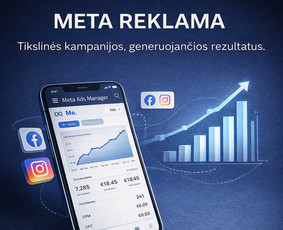 Interneto svetainių kūrimas - Svetainių kūrimas ir e. parduotuvės verslui, Di paslaugos - 2