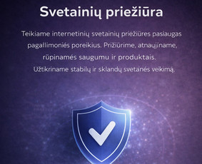 Interneto svetainių priežiūra - Svetainių kūrimas ir e. parduotuvės verslui, Di paslaugos - 1