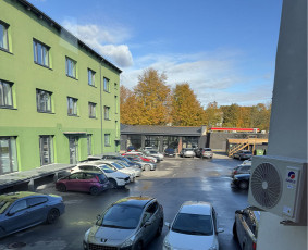 Kineziterapija - Kūdikių ir vaikų kineziterapija - 4