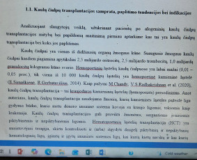 Ra&scaron;to darbų konsultantai - Profesionali pagalba rengiant ra&scaron;to darbus - 4