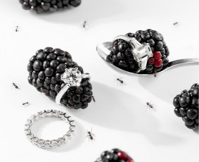 Fotografai verslui - Produkto fotografija/fotografija verslui - 2