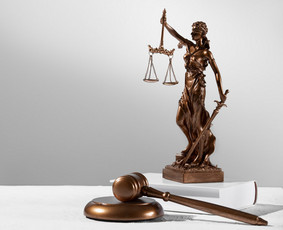 Teisinės paslaugos - Advokatas D. Žebelys - teisinės paslaugos (Lawyer / Юрист) - 1