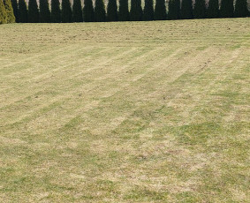 Aplinka, sodas - Žolės pjovimas, skarifikavimas bei kiti aplinkos darbai - 2