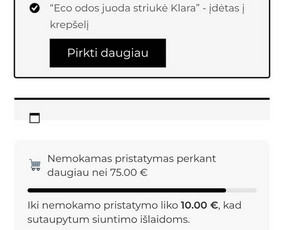 Interneto svetainių kūrimas - Svetainių kūrimas/administravimas - 1