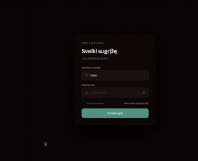Programuotojai - Kokybi&scaron;kos svetainės ir programinė įranga - 4