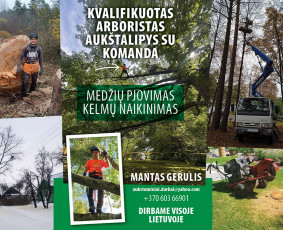 Aplinkos tvarkymas, apželdinimas - Arboristo paslaugos. Medžių pjovimas, kelmų naikinimas - 1