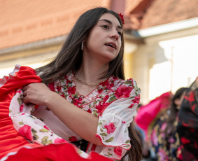 Fotografė Palangoje / Zivile Latakaite / Darbų pavyzdys ID 4554198