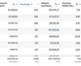 Marketingo strategijos kūrimas - Facebook reklamos ekspertė, Pardavimų augimas per Meta Ads - 1
