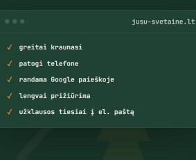 Internetas, IT - Interneto svetainių ir el. parduotuvių kūrimas - 4