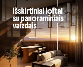 Google Ads, Shopping, Meta Facebook Ads, Instagram reklama / Giedrė Milišauskaitė / Darbų pavyzdys ID 4589006
