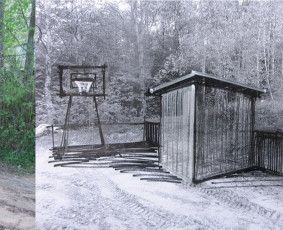 Apželdinimo konsultacija - Kiemo apšvietimas. Kraštovaizdžio projektai. Konsultacijos - 3