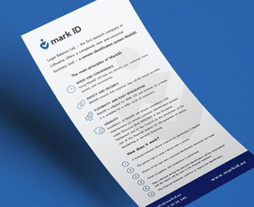 Skrajutės maketavimas - Firminis stilius, Logotipai, Maketavimas, Pakuotės - 3