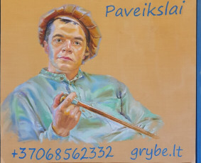 Linas Grybė / Linas Grybė / Darbų pavyzdys ID 1585843