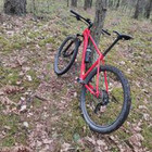 Nerijus Vaškevičius