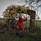 Aistė Adamonytė