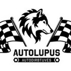 Automobilių servisas prie oro uosto