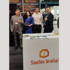Saulės broliai