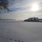 Rūta Žickienė