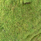 Pavėsinės Terasos Stoginės