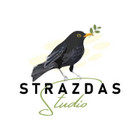 MB Strazdas Studio