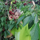 Jolanta Kontvainienė