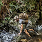 Jonas Tadas Malinauskas