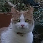 Artūras Garbačiauskas