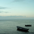 Ingrida