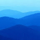 Danute Misevic Danute Misevic